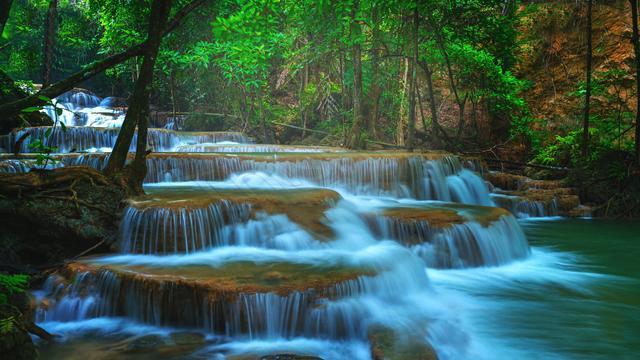 虫虫助手下载