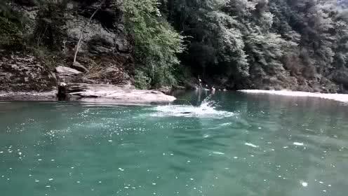 动物帮帮忙保卫家园